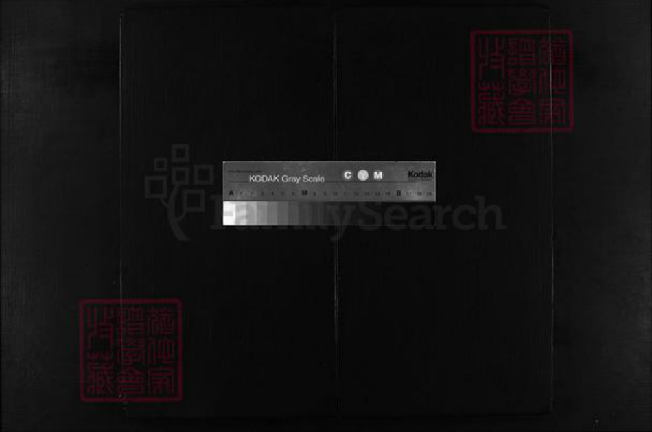 浙江省王氏族谱-畈洋王氏宗谱 [2卷].pdf电子版