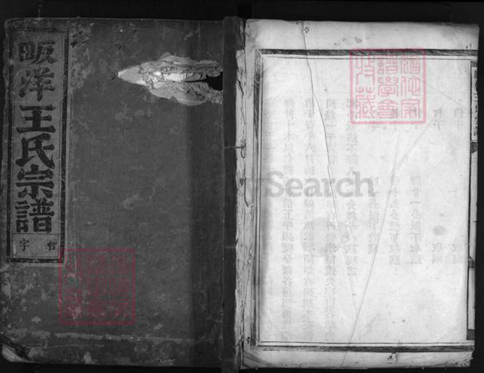 浙江省王氏族谱-畈洋王氏宗谱 [2卷].pdf电子版插图1