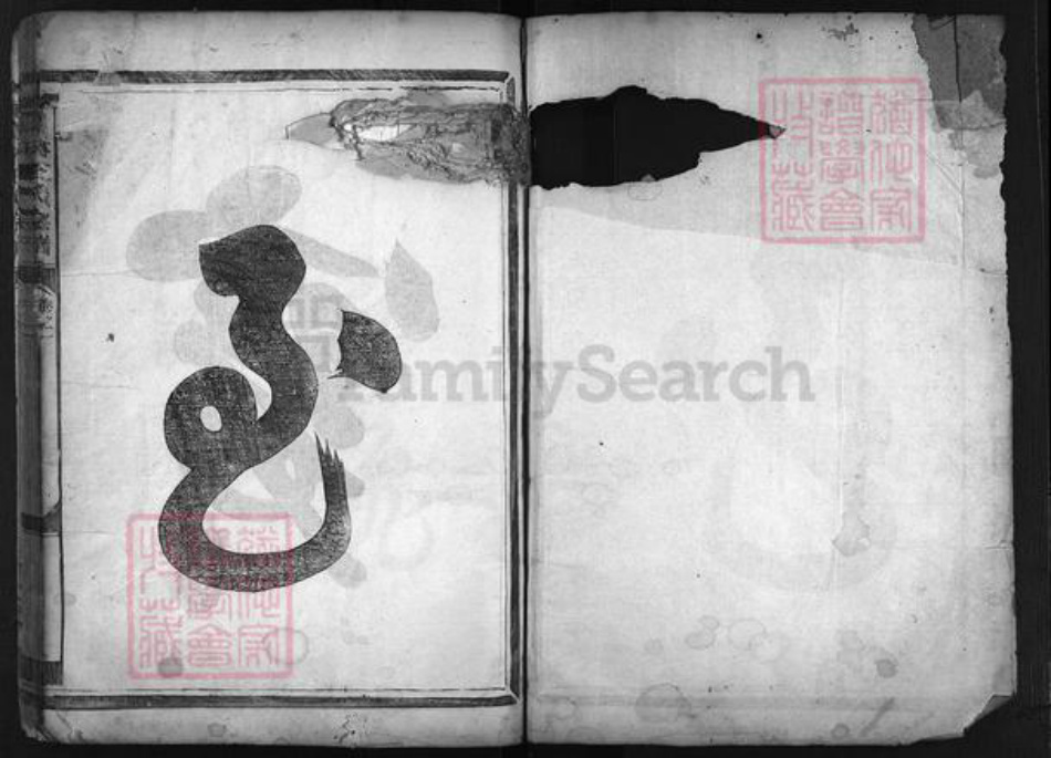 浙江省王氏族谱-畈洋王氏宗谱 [2卷].pdf电子版插图2