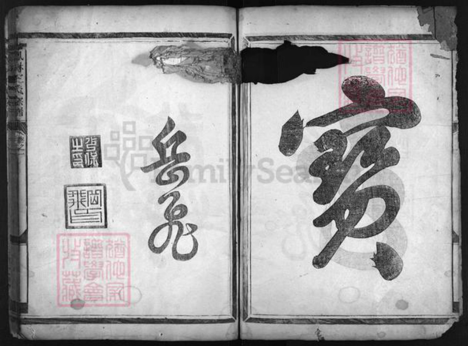 浙江省王氏族谱-畈洋王氏宗谱 [2卷].pdf电子版插图3