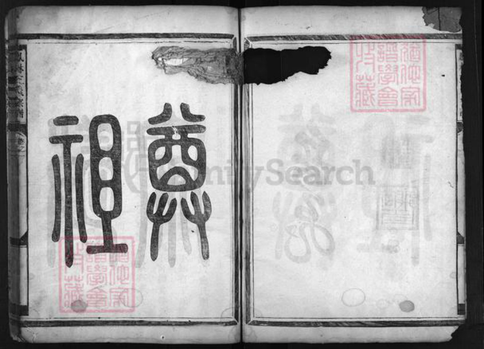 浙江省王氏族谱-畈洋王氏宗谱 [2卷].pdf电子版插图4