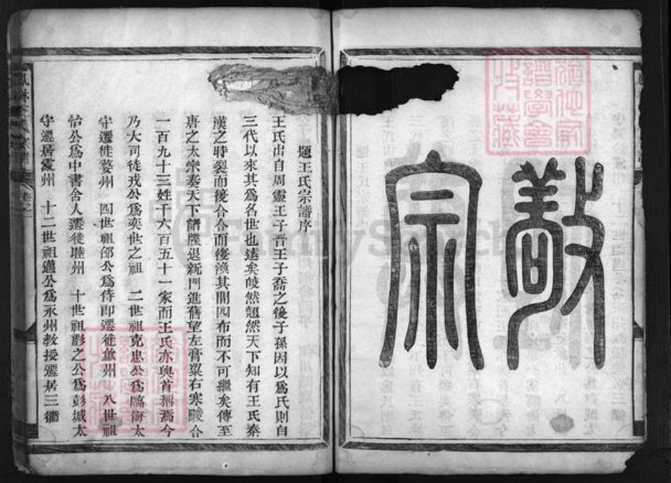 浙江省王氏族谱-畈洋王氏宗谱 [2卷].pdf电子版插图5