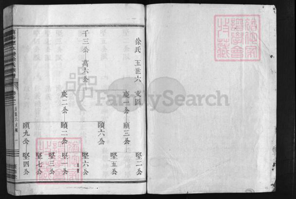 浙江省徐氏族谱-兰谿望江楼徐氏族谱 [残卷1卷].pdf电子版插图2