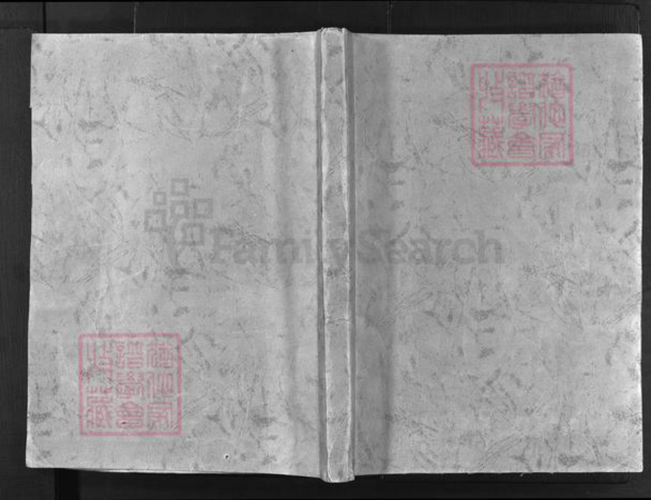 浙江省童；胡氏族谱-铁炉头胡氏宗谱 [2卷].pdf电子版插图1