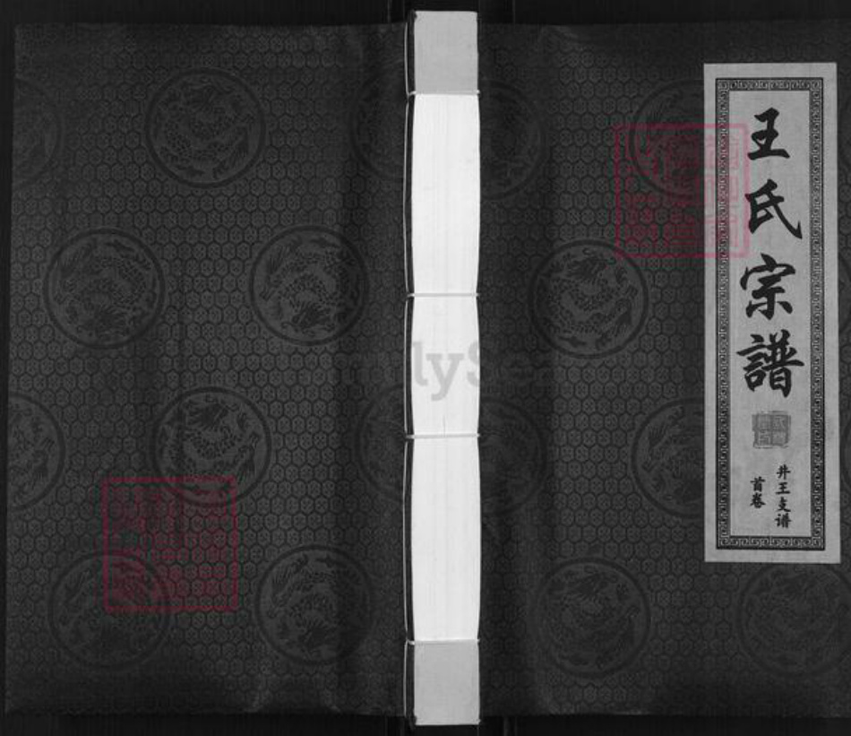 安徽省宿州市泗县草沟镇王氏三槐堂族谱-王氏宗谱.井王支谱.pdf电子版