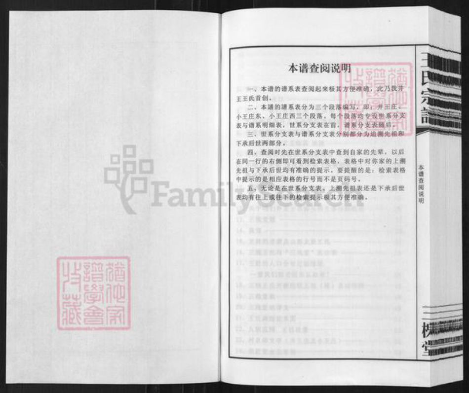 安徽省宿州市泗县草沟镇王氏三槐堂族谱-王氏宗谱.井王支谱.pdf电子版插图1