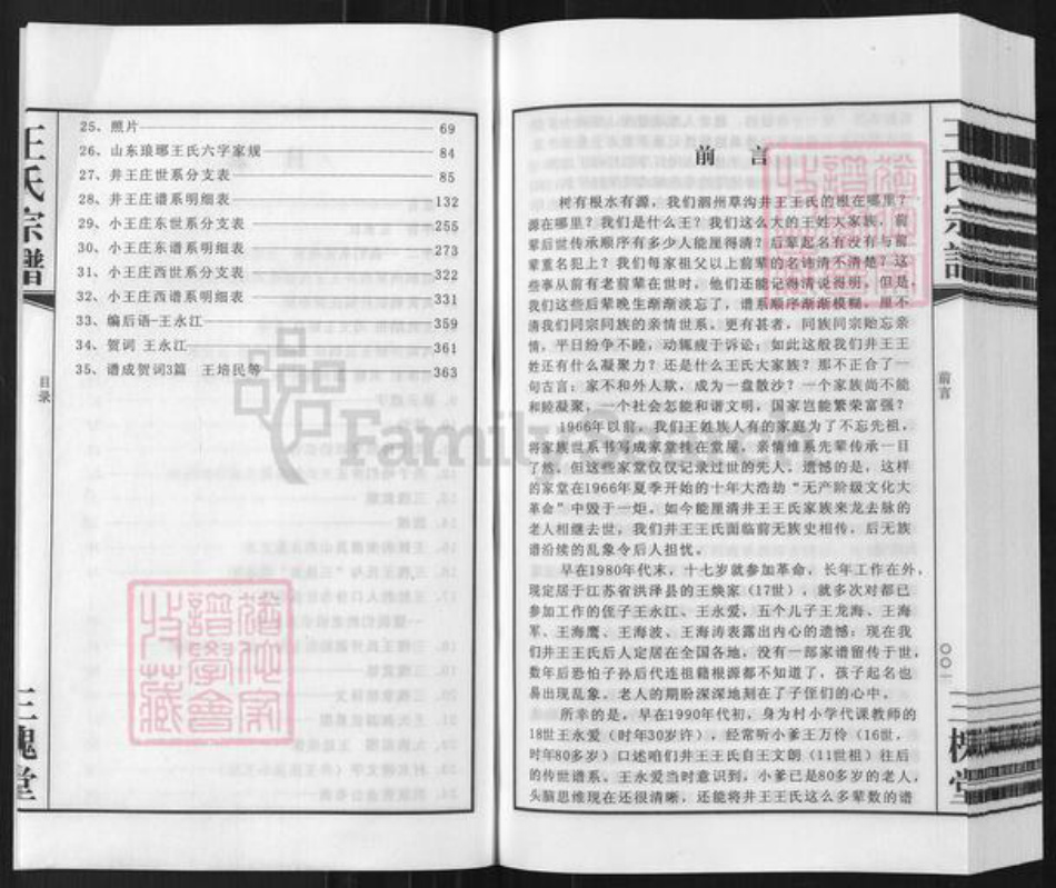 安徽省宿州市泗县草沟镇王氏三槐堂族谱-王氏宗谱.井王支谱.pdf电子版插图3