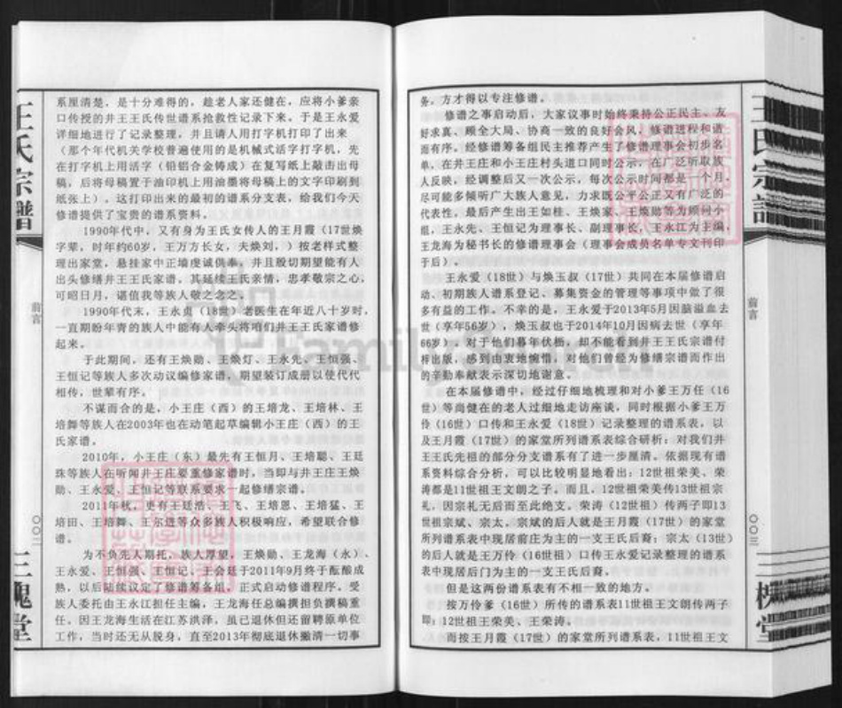 安徽省宿州市泗县草沟镇王氏三槐堂族谱-王氏宗谱.井王支谱.pdf电子版插图4