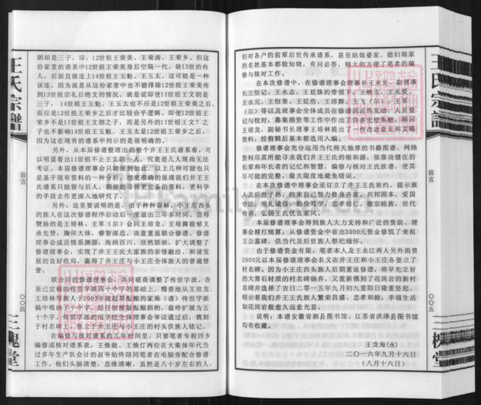 安徽省宿州市泗县草沟镇王氏三槐堂族谱-王氏宗谱.井王支谱.pdf电子版插图5