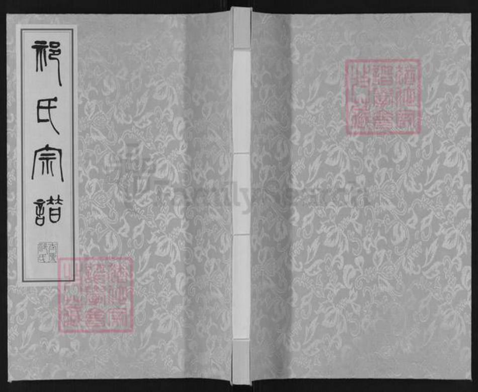 江苏省盐城市亭湖区新兴镇祁氏举贤堂族谱-祁氏宗谱.新兴支系谱.pdf电子版