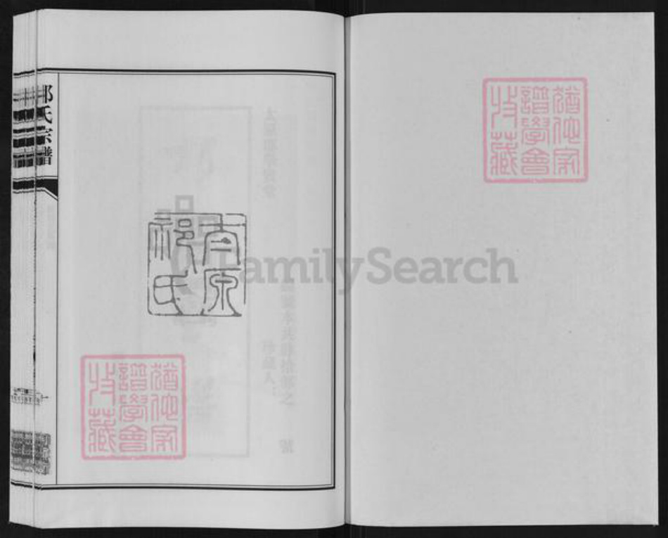 江苏省盐城市亭湖区新兴镇祁氏举贤堂族谱-祁氏宗谱.新兴支系谱.pdf电子版插图1