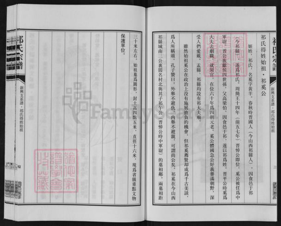 江苏省盐城市亭湖区新兴镇祁氏举贤堂族谱-祁氏宗谱.新兴支系谱.pdf电子版插图4