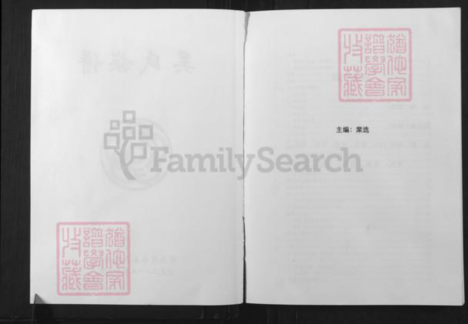 湖南省常德市安乡县吴氏延陵堂族谱-安南吴氏族谱.pdf电子版插图2