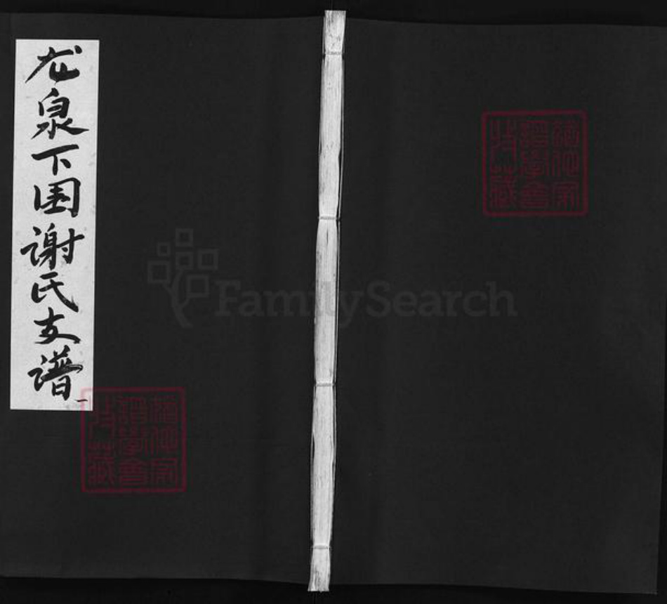 江西省吉安市遂川县谢氏族谱-龙泉下围谢氏支谱 [不分卷].pdf电子版插图1