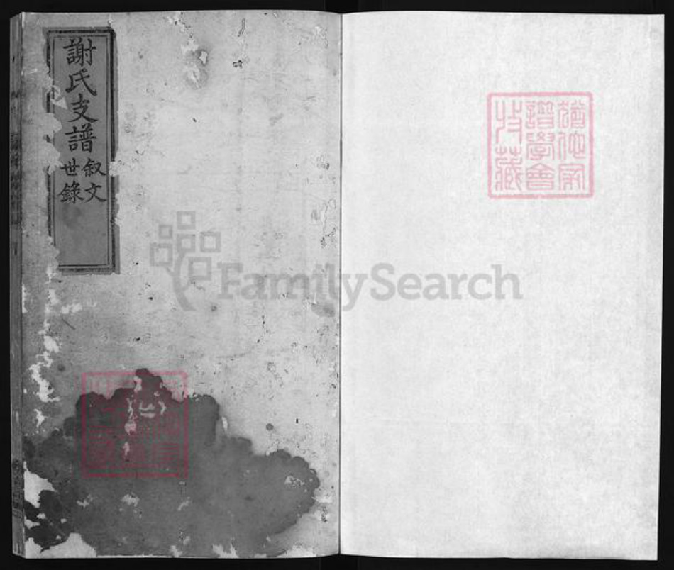 江西省吉安市遂川县谢氏族谱-龙泉下围谢氏支谱 [不分卷].pdf电子版插图2