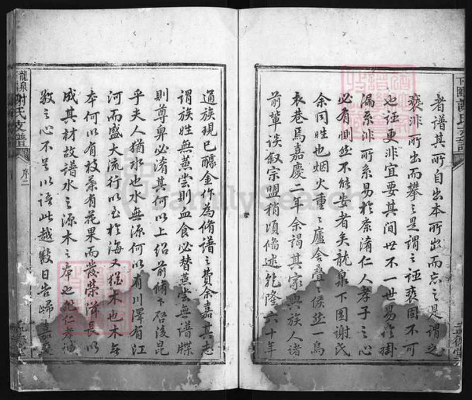 江西省吉安市遂川县谢氏族谱-龙泉下围谢氏支谱 [不分卷].pdf电子版插图5