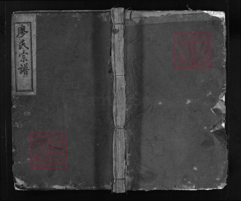 福建省泉州市安溪县廖氏族谱-廖氏宗谱 [不分卷].pdf电子版插图1