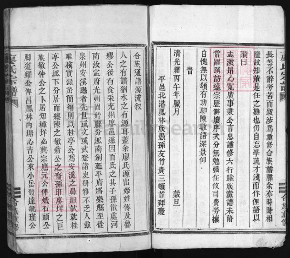 福建省泉州市安溪县廖氏族谱-廖氏宗谱 [不分卷].pdf电子版插图5