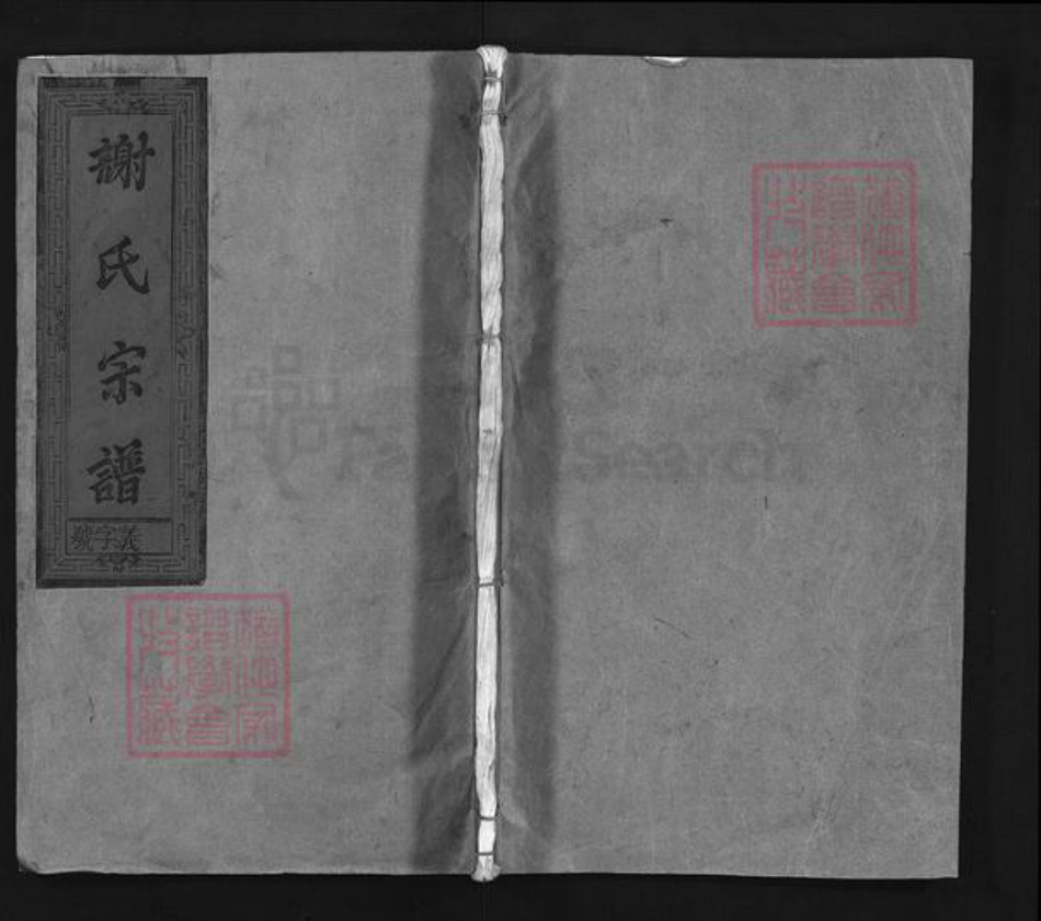 江西省上饶市谢氏族谱-谢氏宗谱 [2卷].pdf电子版插图1