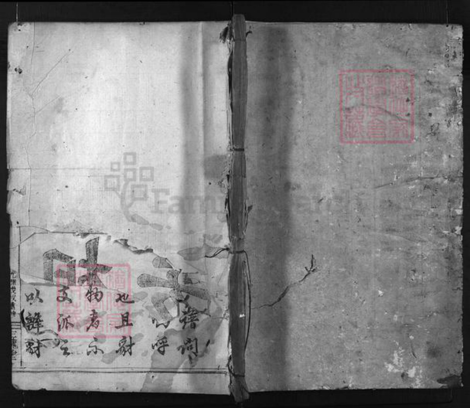 浙江省王氏族谱-凤林王氏宗谱 [4卷].pdf电子版插图1