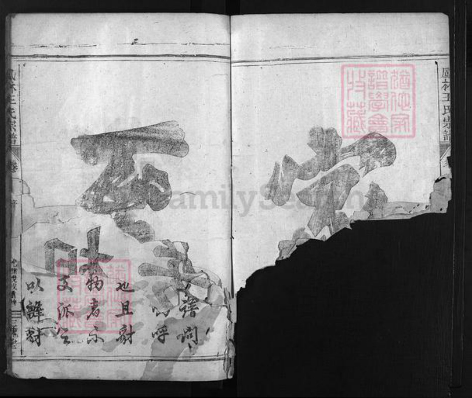 浙江省王氏族谱-凤林王氏宗谱 [4卷].pdf电子版插图4