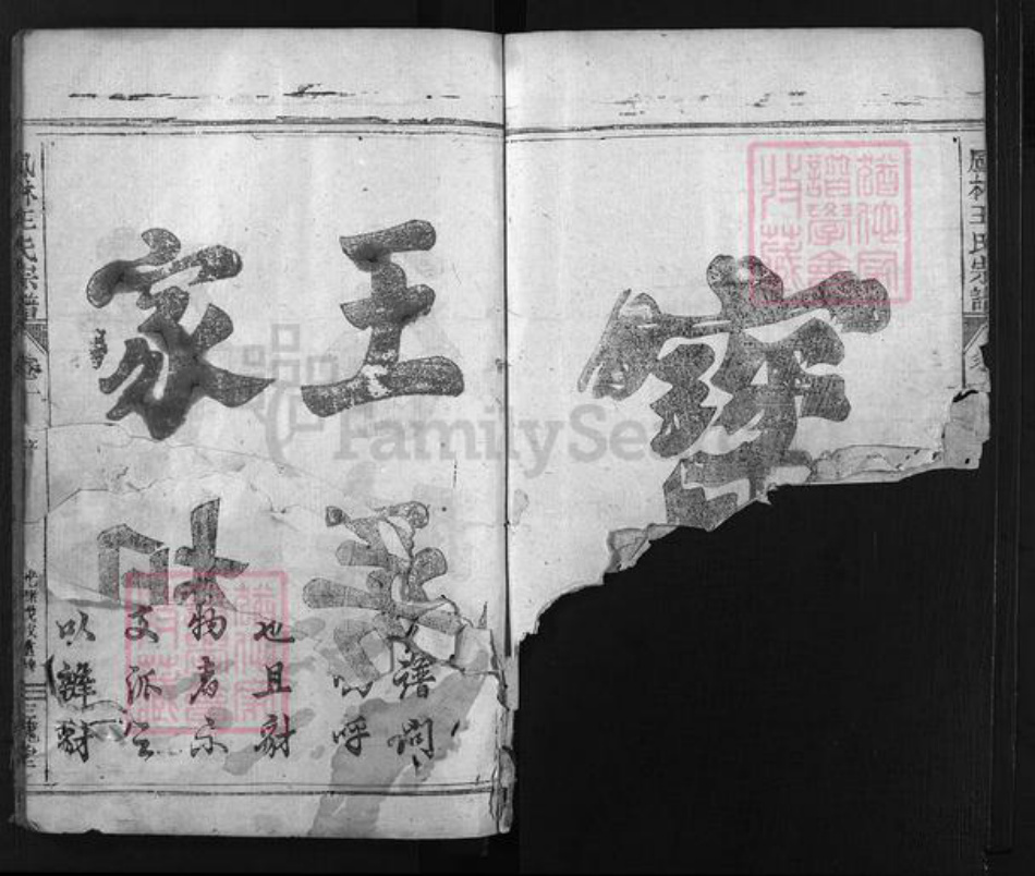 浙江省王氏族谱-凤林王氏宗谱 [4卷].pdf电子版插图5