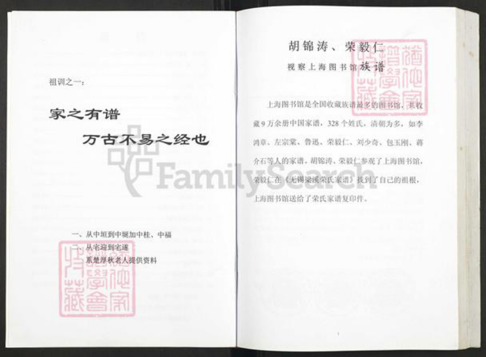 湖南省湘潭市湘乡市山枣镇楚氏新平堂族谱-楚氏新平堂英公支谱.灌房南泉二三子松柏公八修谱.pdf电子版插图2