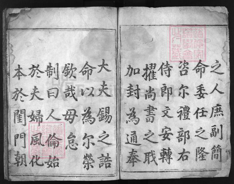 浙江省杨氏族谱-宏农杨氏宗谱 [3卷].pdf电子版插图3