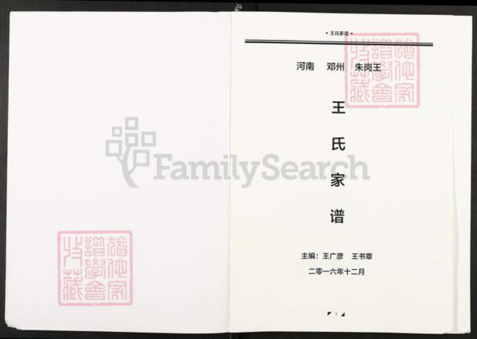 河南省南阳市邓州市赵集镇王氏族谱-王氏家谱.pdf电子版插图1