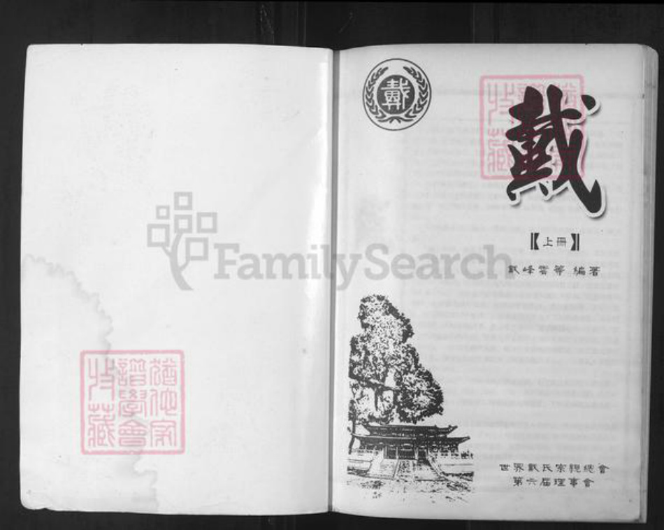 河南省商丘市戴氏族谱-戴氏宗谱 河南商丘.pdf电子版插图1