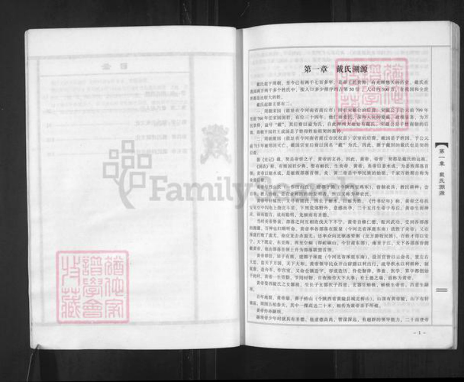 河南省商丘市戴氏族谱-戴氏宗谱 河南商丘.pdf电子版插图5