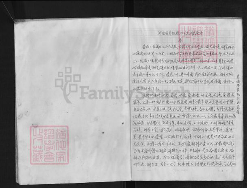 河北省衡水市阜城县蒋坊乡刘氏族谱-阜城邓家屯刘氏家谱.pdf电子版插图3