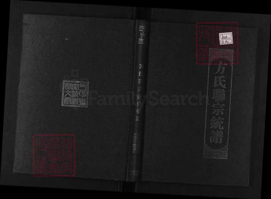 湖北省武汉市新洲区方氏尊文堂族谱-方氏联宗统谱.pdf电子版