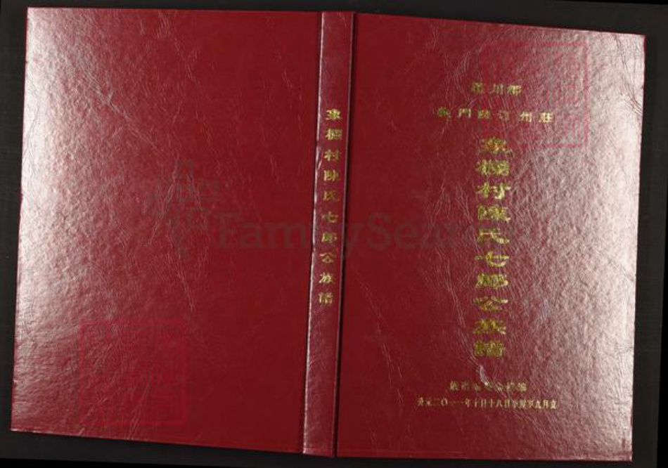 福建省龙岩市上杭县陈氏族谱-颖川郡义门陈汀州庄象栏村陈氏七郎公族谱.pdf电子版