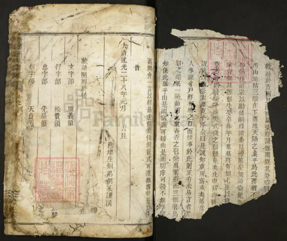 浙江省金华市李氏族谱-南溪李氏宗谱.pdf电子版插图2