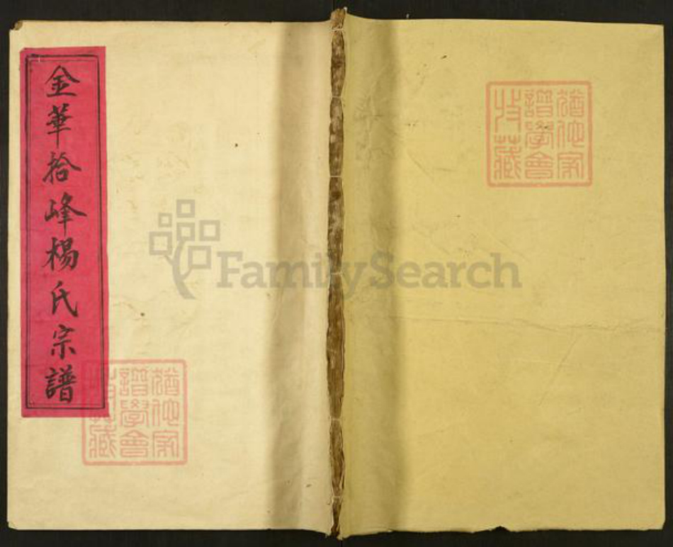 浙江省金华市杨氏族谱-关西杨氏宗谱.pdf电子版