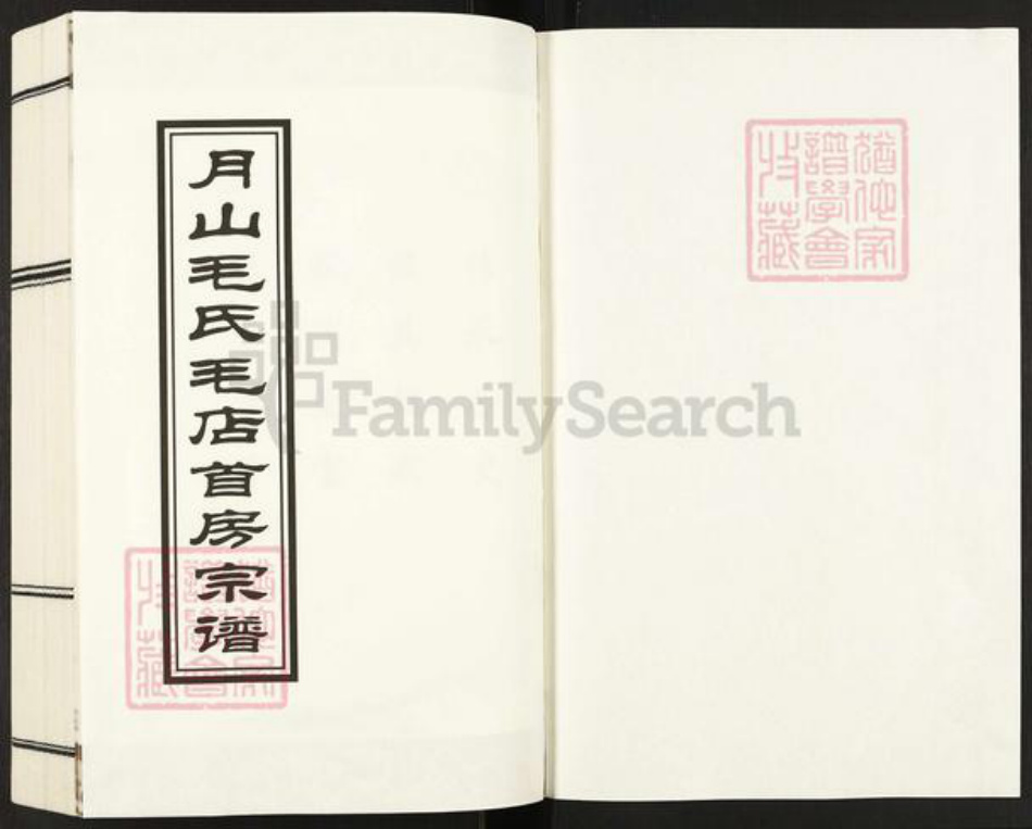 浙江省金华市浦江县檀溪镇毛氏永和堂族谱-月山毛氏毛店首房宗谱.pdf电子版插图1