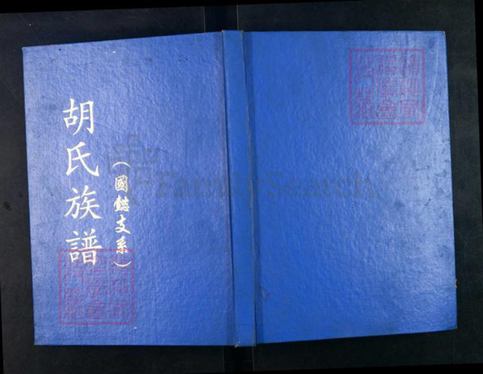 重庆市江津区贾嗣镇胡氏族谱-胡氏族谱.国懿支系.pdf电子版