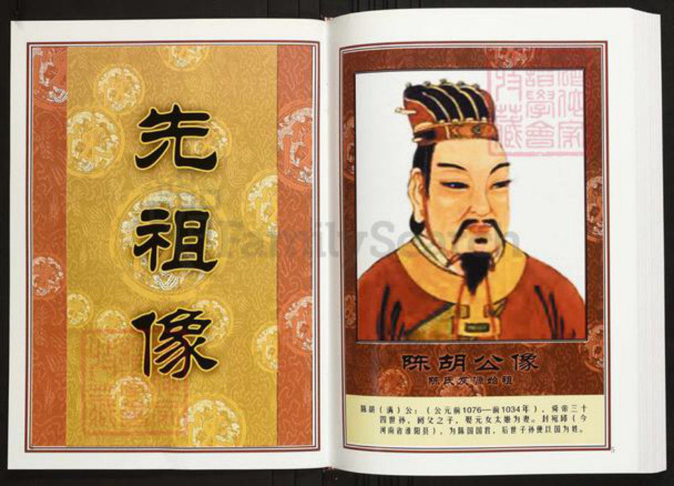 安徽省安庆市潜山市陈氏义门堂族谱-中华义门陈氏大成谱桐城庄安徽潜山县陈氏族谱.pdf电子版插图3