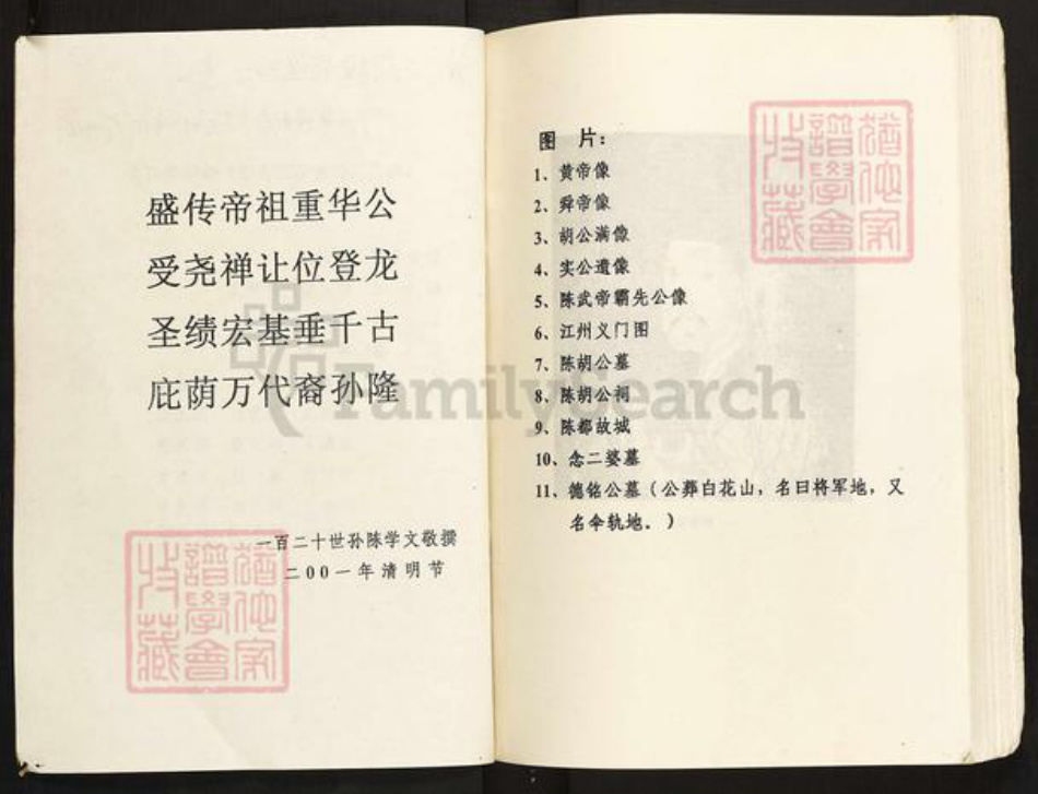 广西壮族自治区南宁市宾阳县陈氏族谱-陈念二公世系源流谱.pdf电子版插图2