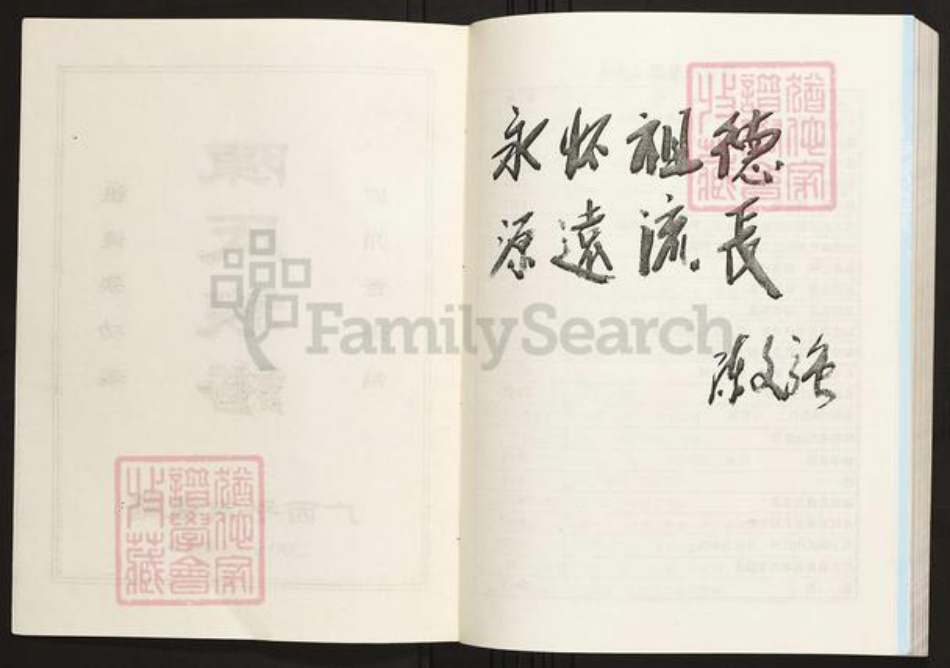 广西壮族自治区贵港市平南县陈氏族谱-广西平南揽塘陈氏族谱.pdf电子版插图2 广西壮族自治区贵港市平南县陈氏族谱-广西平南揽塘陈氏族谱.pdf电子版插图2