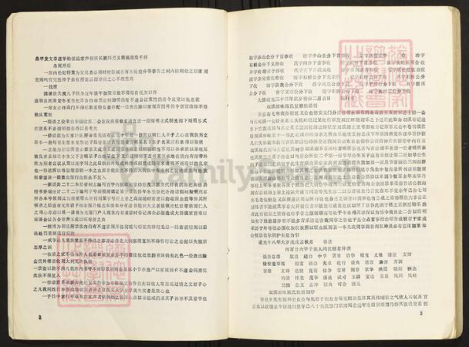 江西省吉安市永新县陈氏族谱-义门陈氏宗谱永新庄志.pdf电子版插图5