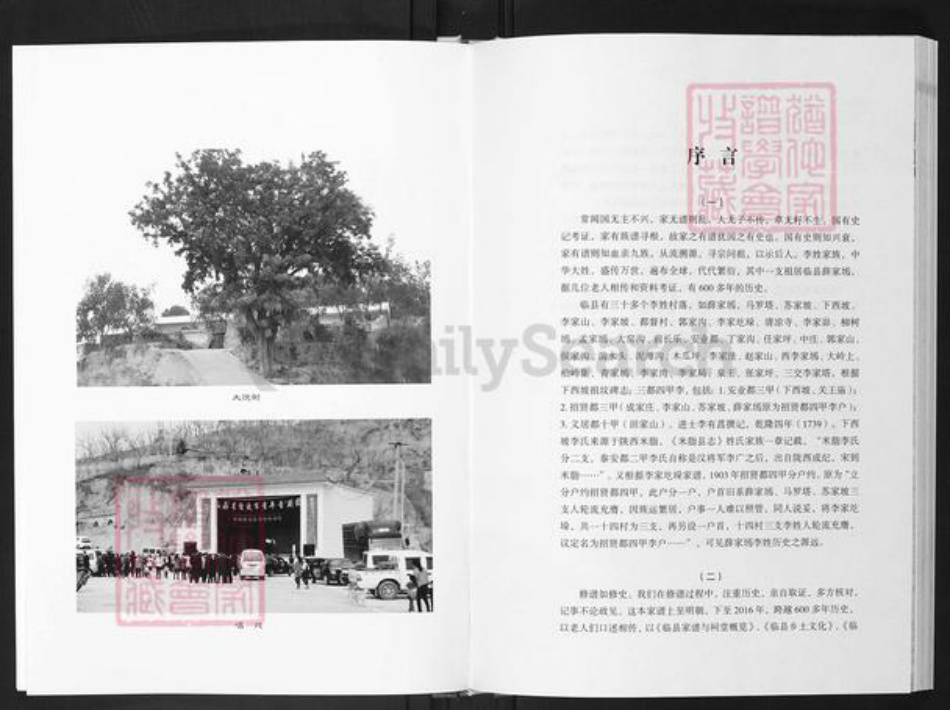 山西省吕梁市临县李氏族谱-李氏家谱.pdf电子版插图5