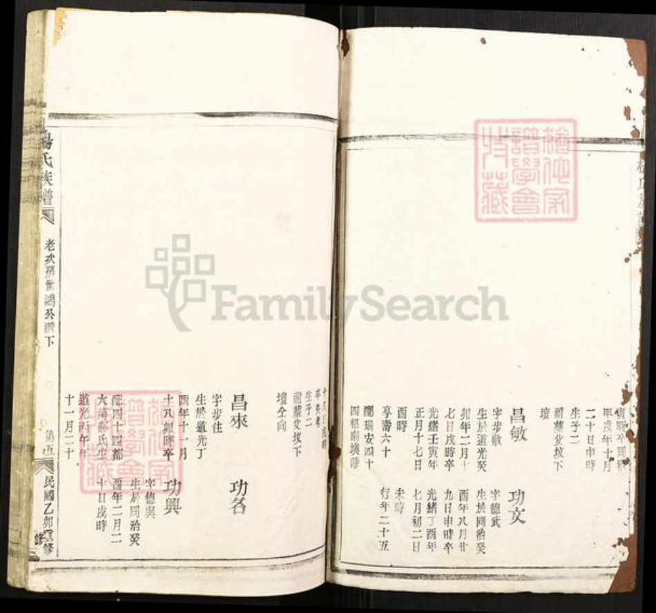 浙江省温州市平阳县腾蛟镇杨氏族谱-杨氏族谱.pdf电子版插图1