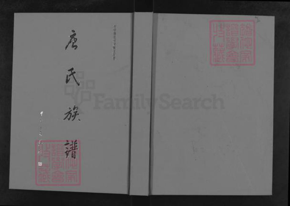 山东省菏泽市东明县唐氏族谱-唐氏族谱.pdf电子版