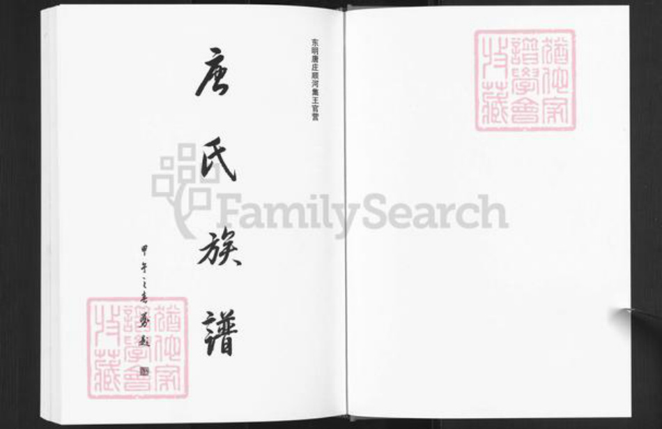 山东省菏泽市东明县唐氏族谱-唐氏族谱.pdf电子版插图1