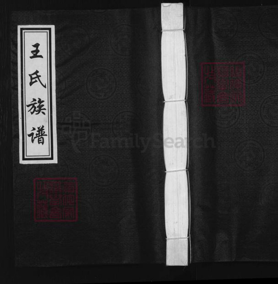 河北省沧州黄骅市官庄乡王氏族谱-王氏族谱.pdf电子版