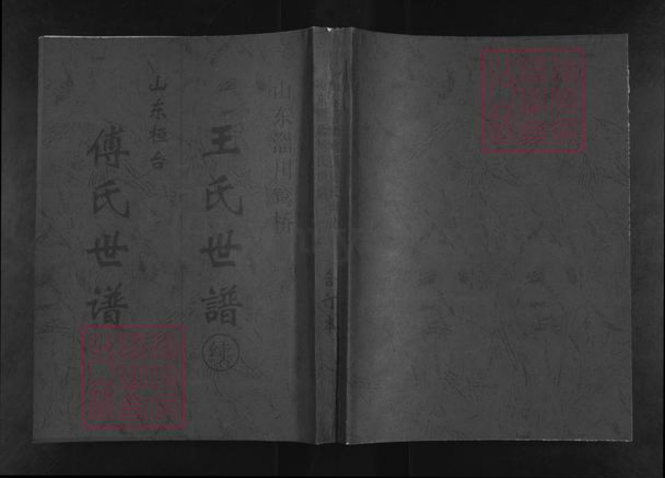 山东省淄博市淄川区王氏族谱-王氏世谱续.pdf电子版