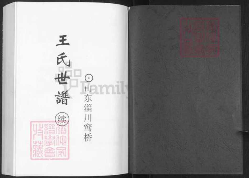 山东省淄博市淄川区王氏族谱-王氏世谱续.pdf电子版插图1 山东省淄博市淄川区王氏族谱-王氏世谱续.pdf电子版插图1