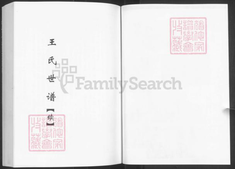 山东省淄博市淄川区王氏族谱-王氏世谱续.pdf电子版插图4 山东省淄博市淄川区王氏族谱-王氏世谱续.pdf电子版插图4